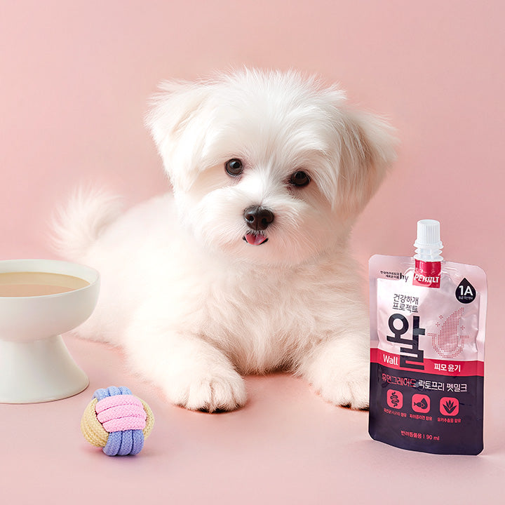 HY 헬씨워프 프로젝트 프로바이오틱 & 코트 서포트 밀크 강아지 간식, 3.04 oz, 1개입