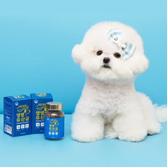 Chimhyang - Premium Postbiotics